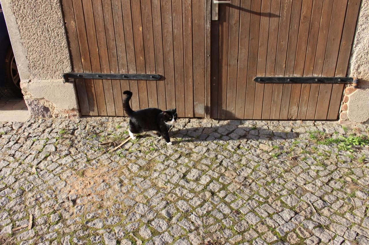 Ferienwohnung Beim Rossl Nossen Kültér fotó